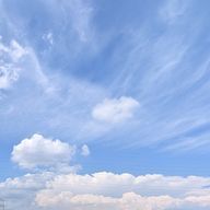 わいさんのアイコン画像