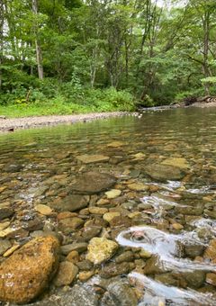 幼馴染を解禁したら?