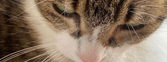 BeNiさんの壁紙画像