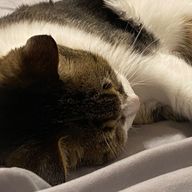 BeNiさんのアイコン画像