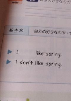 LETSStudy  《中学英語メイン》