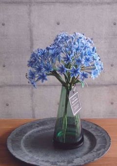 モ テ る ふ た り は 難 し い 。