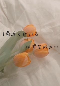 1番近くにいるはずなのに…
