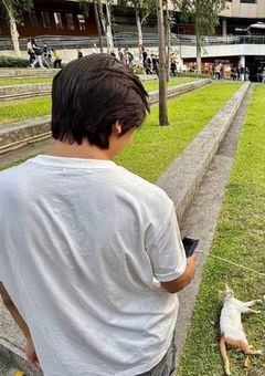 運命の出会い