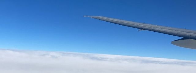 りおさんの壁紙画像