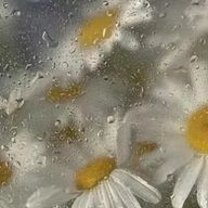 atpmさんのアイコン画像