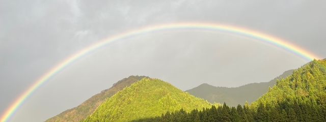 椎梛さんの壁紙画像