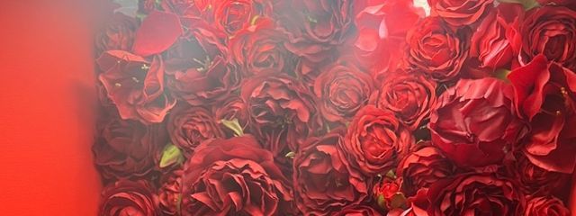 ちゃびさんの壁紙画像