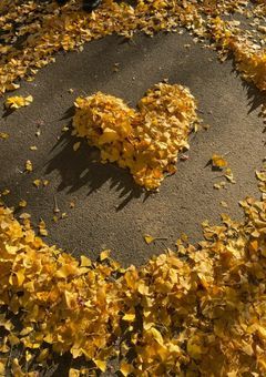 〚ぼくの恋愛話〛