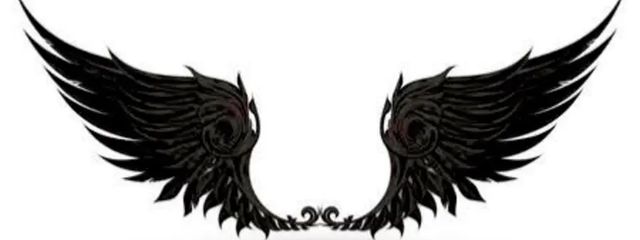 白さんの壁紙画像