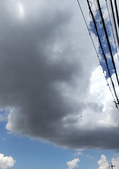 夏の逃避行(季節限定)