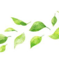 言の葉さんのアイコン画像