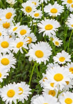 自分受けは苦手なんです！🔞