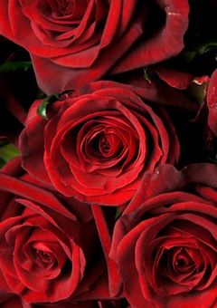 ♡SEX刑務所♡🔞