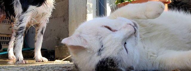 ⁠ババナ♪さんの壁紙画像