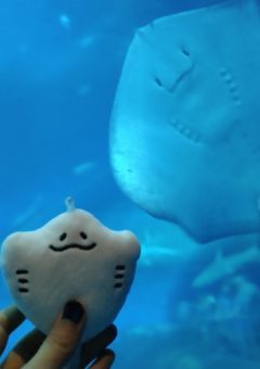 ないとの雑談部屋！