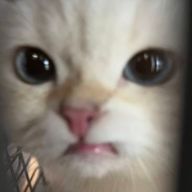 　77cさんのアイコン画像