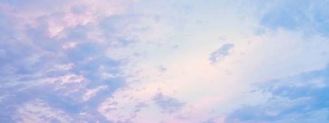 小桜るり  @音菜鈴 とペア画中  活動停止中さんの壁紙画像