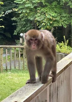 雪菜専用部屋ぁ！！