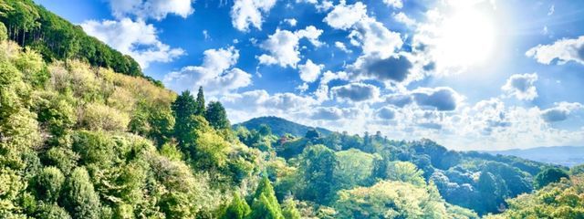 おもちだいふく　　さんの壁紙画像