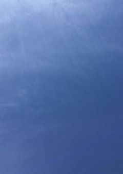悪役の俺が乙女ゲー世界の内容を変えようと試みた件