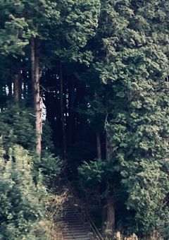 し あ わ せ に な り た い 。