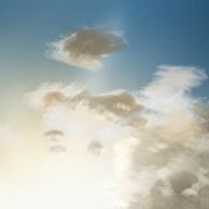 ウグイスさんのアイコン画像