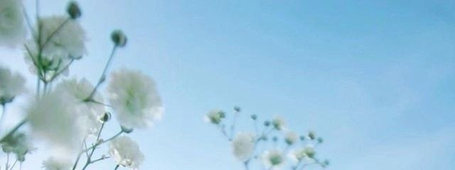 🧸さんの壁紙画像