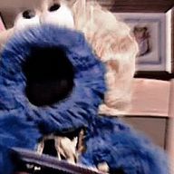 葉月蘭さんのアイコン画像