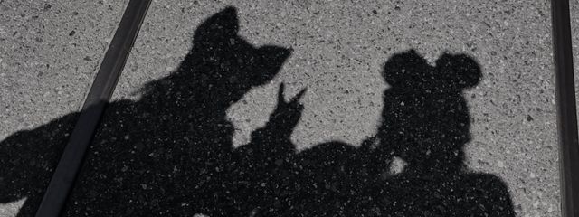 kozu_さんの壁紙画像