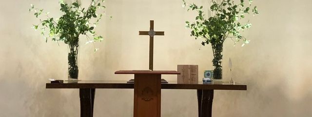 千莉٩(&nbsp;ᐛ&nbsp;)وさんの壁紙画像