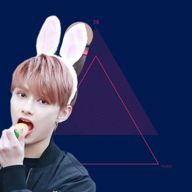 アンリ🐰🐯🐣さんのアイコン画像