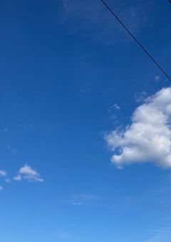 信じた私が「馬鹿」だった