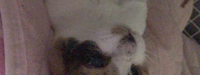 糸色ねねさんの壁紙画像