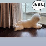 sayaさんのアイコン画像