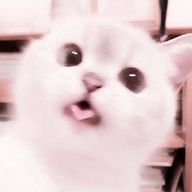 ゆずはさんのアイコン画像