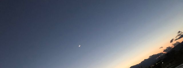 めさんの壁紙画像