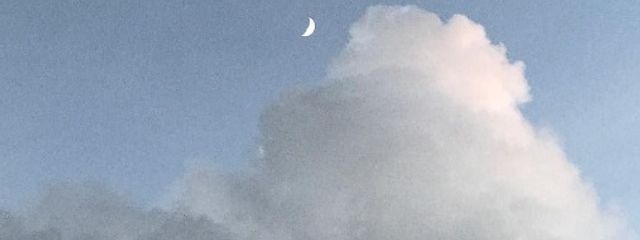 夢さんの壁紙画像