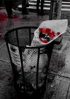弘大殺人事件