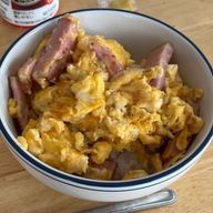 鳥の照り焼きさんのアイコン画像