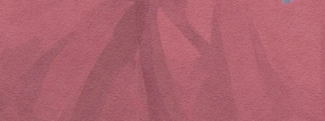    B型の猫   さんの壁紙画像