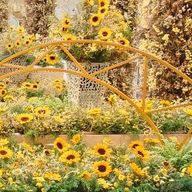 テールさんのアイコン画像