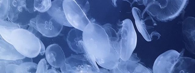 点滴穿石さんの壁紙画像