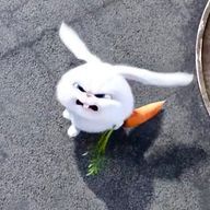 前髪クリップさんのアイコン画像