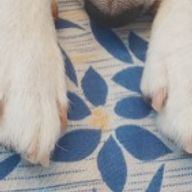 青野さんのアイコン画像