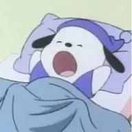 のあさんのアイコン画像