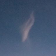 ｲｴﾛｰｽｹﾎﾞｰさんのアイコン画像