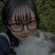 ねこ。さんのアイコン画像