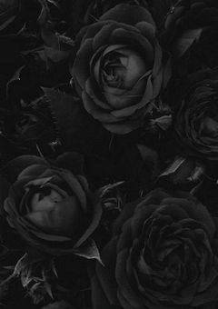 "憧れ"から"愛してる"