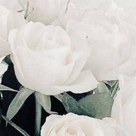 𓈒𓏸︎︎︎︎さんのアイコン画像